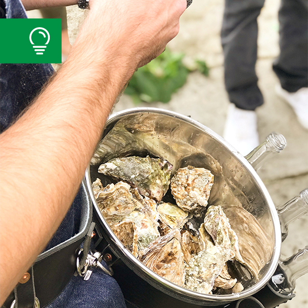 Caterer Motivator The Norfolk Oystermen NCASS