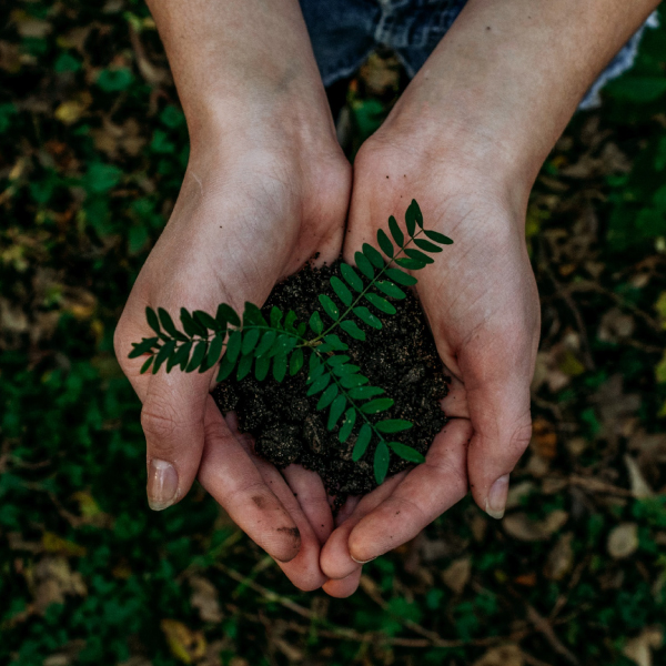 NCASS Sustainability Training