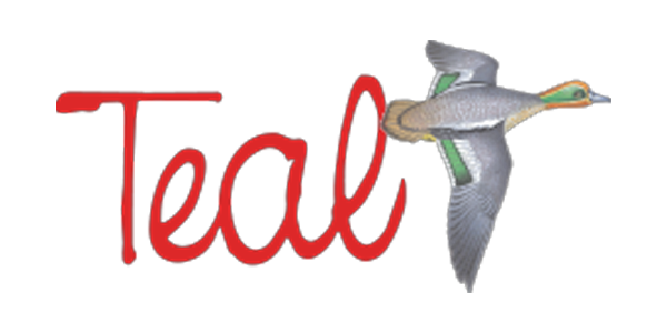 Teal logo